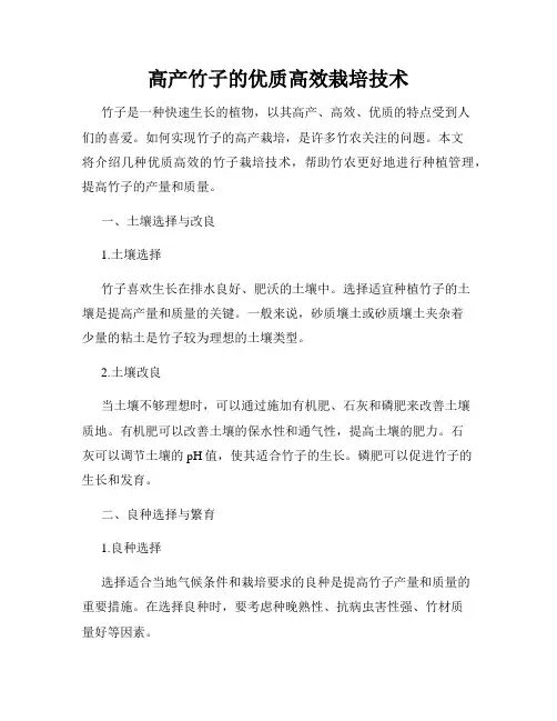 高产竹子的优质高效栽培技术