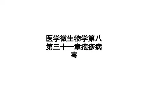 医学微生物学第八第三十一章疱疹病毒