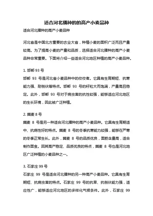 适合河北播种的的高产小麦品种