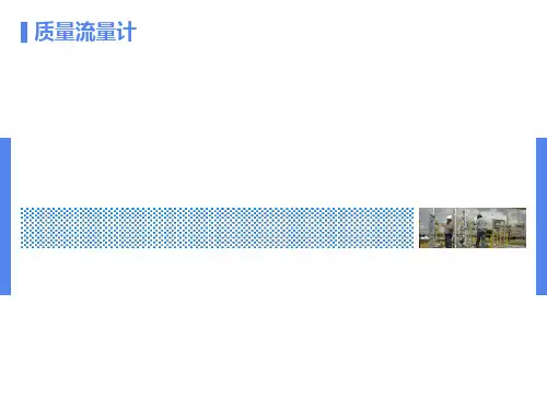 质量流量讲义