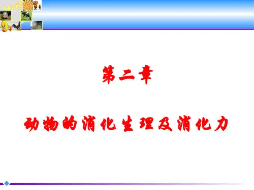 动物营养学：第二章 动物的消化生理及消化力
