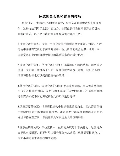 拉流钓黑头鱼和黄鱼的技巧