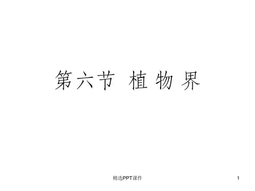北京版生物八下植物界ppt课件