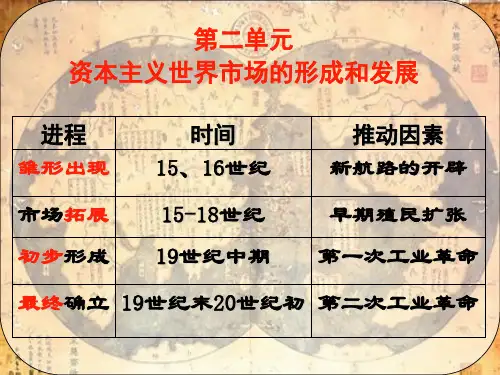 《开辟新航路》教师授课课件PPT