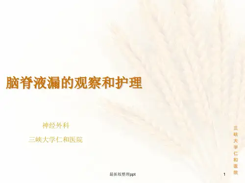 脑脊液漏的护理ppt课件