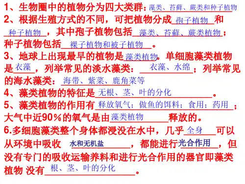 鲁科版生物 六年级下学期期末复习知识点梳理 课件(28张ppt)