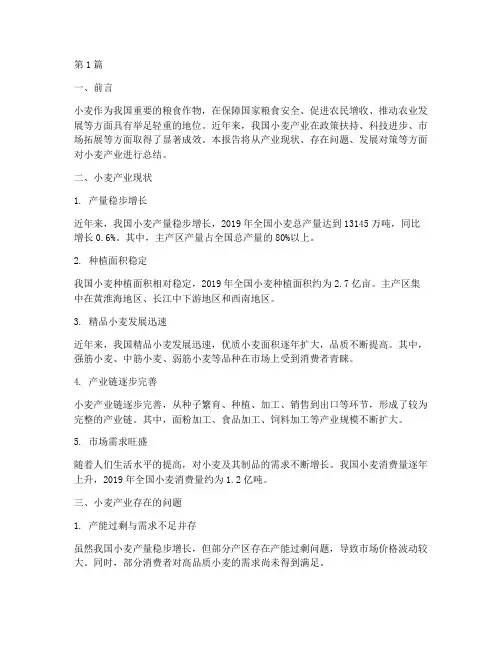 小麦产业总结报告范文(3篇)