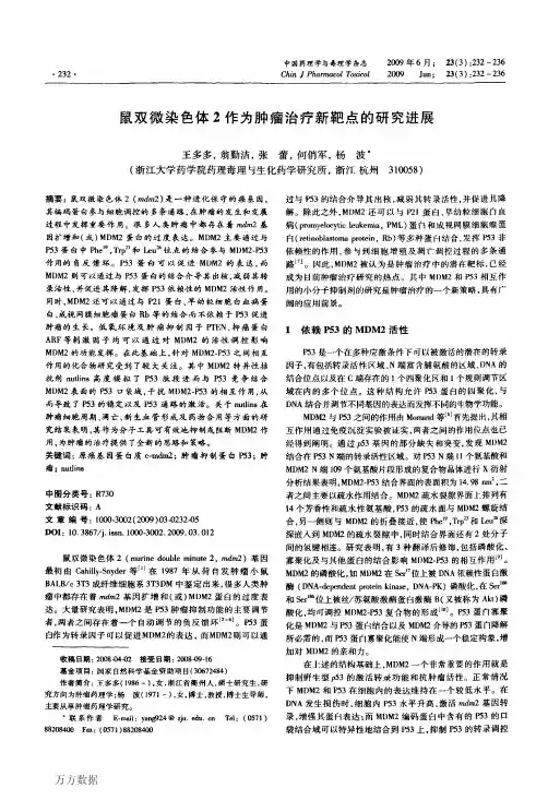 鼠双微染色体2作为肿瘤治疗新靶点的研究进展