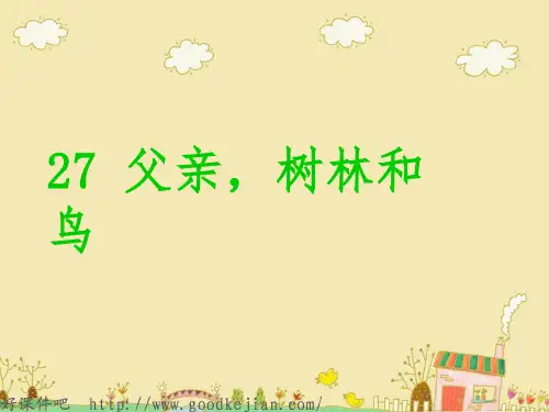 父亲、树林和鸟-课件ppt
