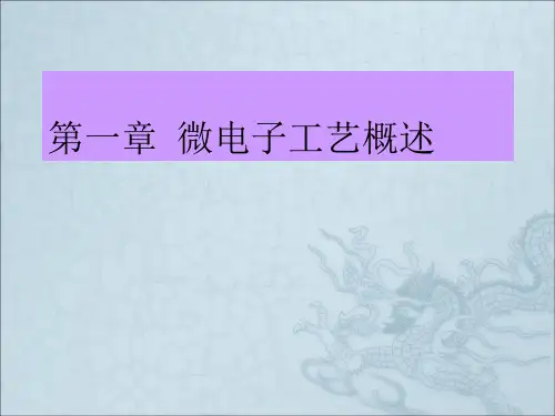 《半导体工艺概述》PPT课件