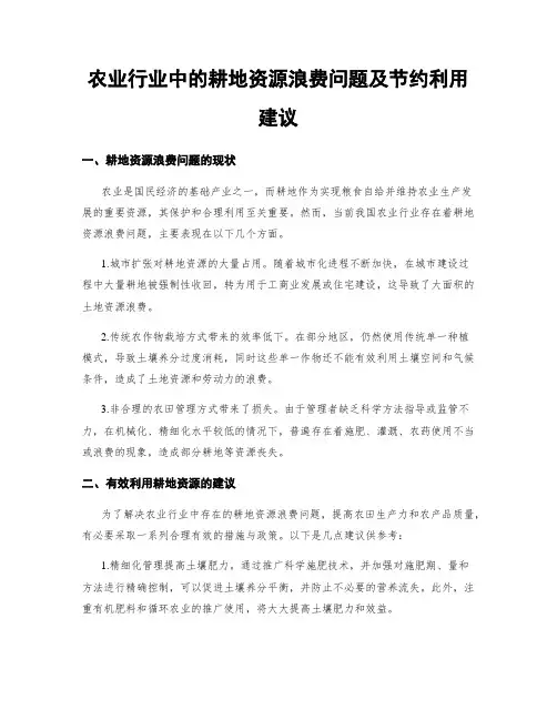 农业行业中的耕地资源浪费问题及节约利用建议 (3)