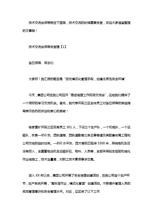 技术交流会领导发言稿