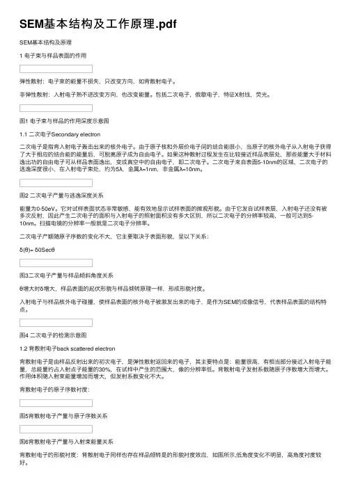 SEM基本结构及工作原理.pdf