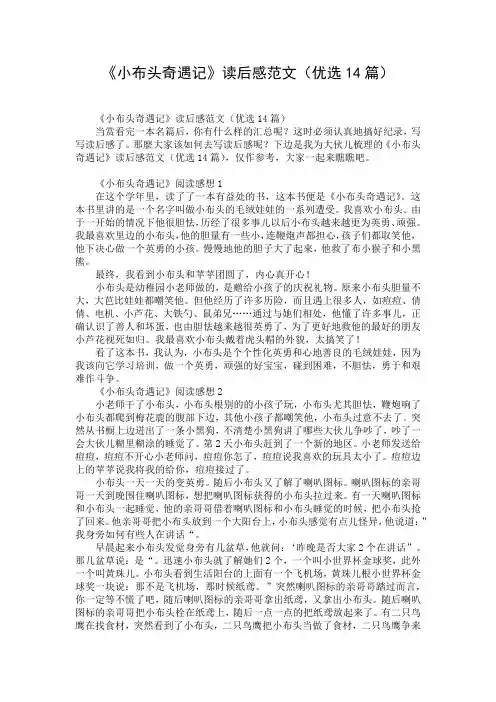 《小布头奇遇记》读后感范文(优选14篇)