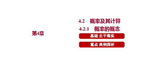  4.2.1 概率的概念   课件 2024-2025学年 湘教版数学九年级下册
