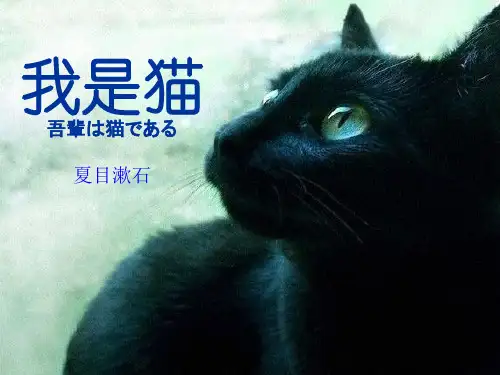 我是猫 夏目漱石