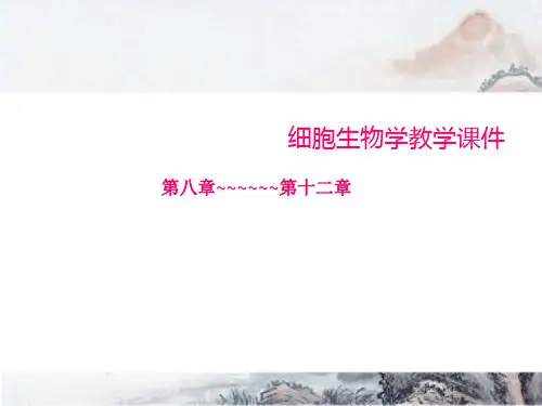细胞生物学第四版(8至12章)
