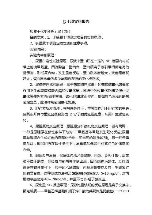 尿十项实验报告