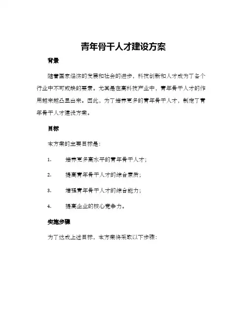 青年骨干人才建设方案