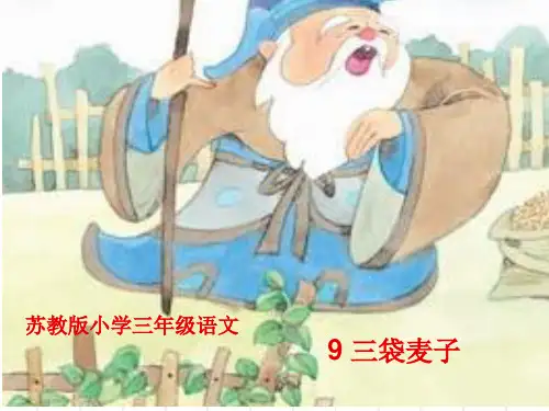 9_三袋麦子ppt