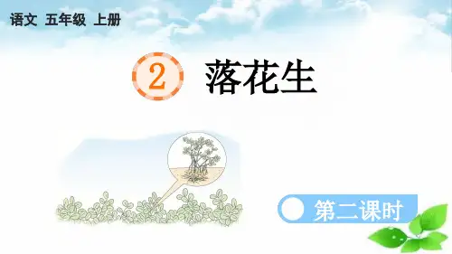 (统编版)语文五年级上册2《落花生》第二课时 课件