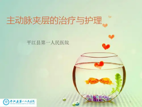 主动脉夹层护理PPT参考幻灯片