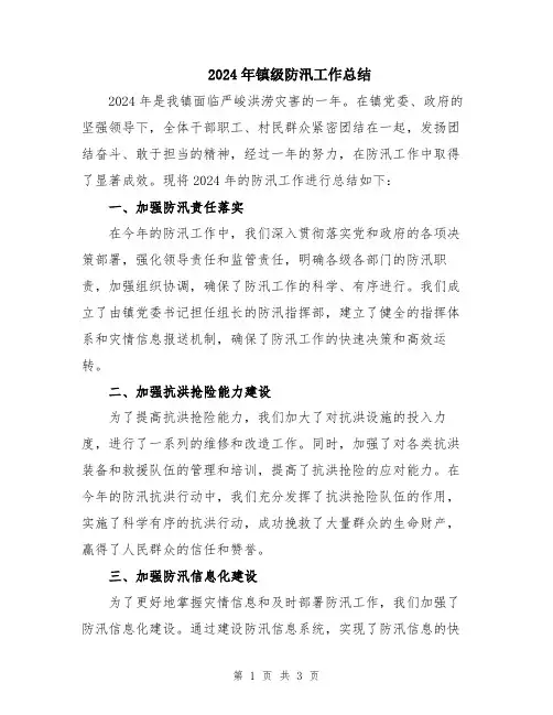 2024年镇级防汛工作总结