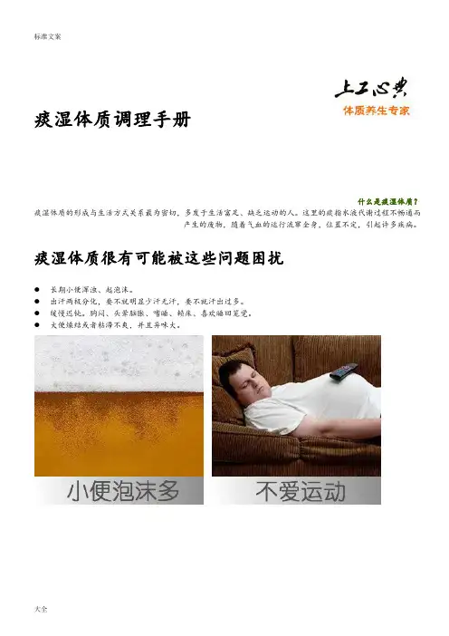 痰湿体质地症状表现及调理方法手册簿