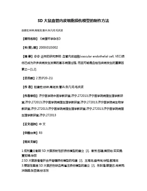 SD大鼠血管内皮细胞损伤模型的制作方法