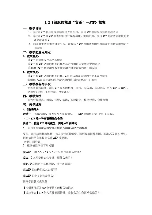 5.2细胞的能量“货币”ATP教案高一上学期生物人教版必修1
