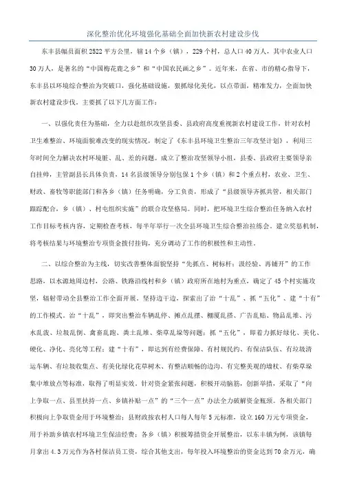 深化整治优化环境强化基础全面加快新农村建设步伐