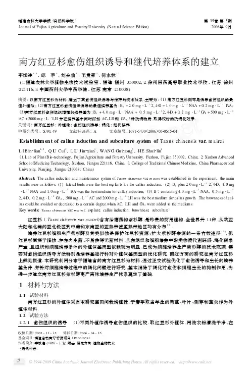 南方红豆杉愈伤组织诱导和继代培养体系的建立