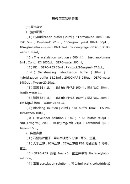原位杂交实验步骤