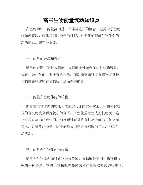 高三生物能量流动知识点