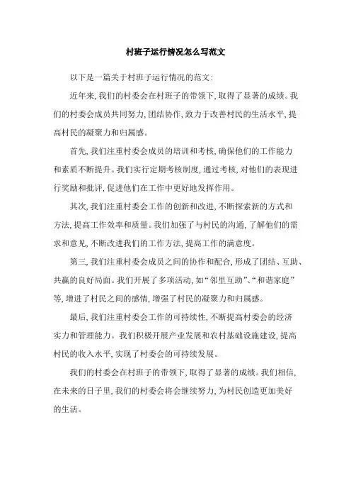 村班子运行情况怎么写范文