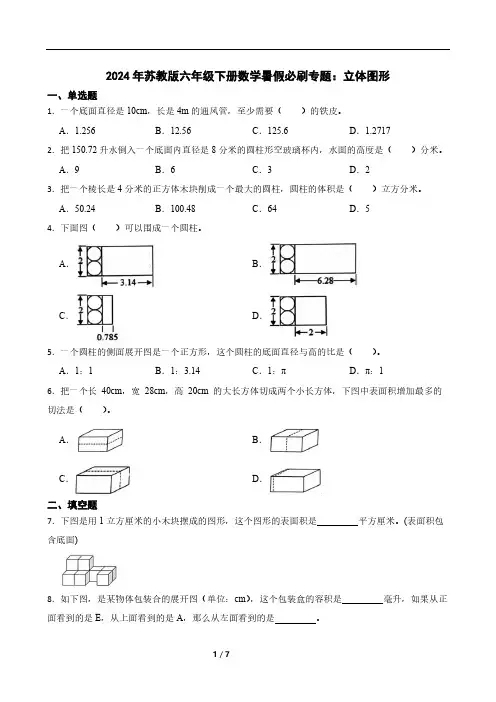 2024年苏教版六年级下册数学暑假必刷专题：立体图形(含答案)