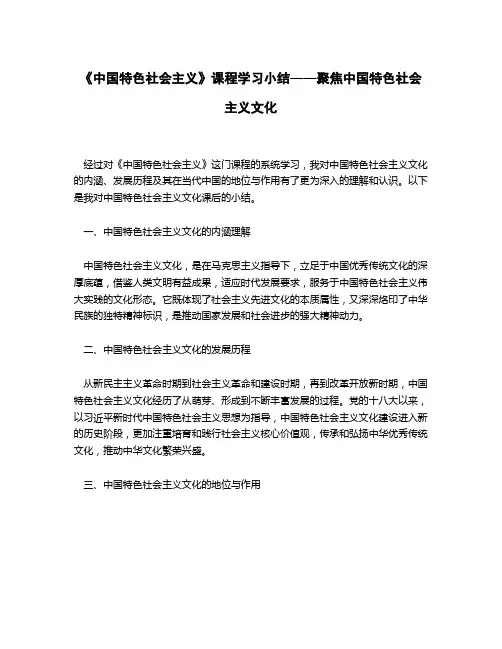《中国特色社会主义》中国特色社会主义文化课后小结