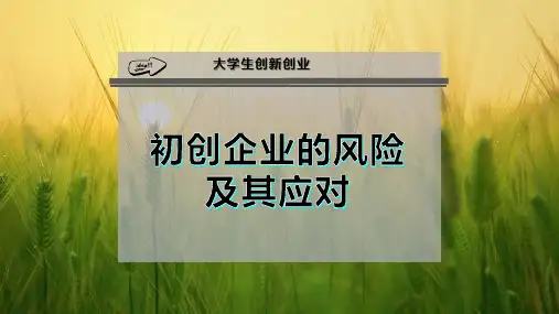 初创企业的风险及其应对