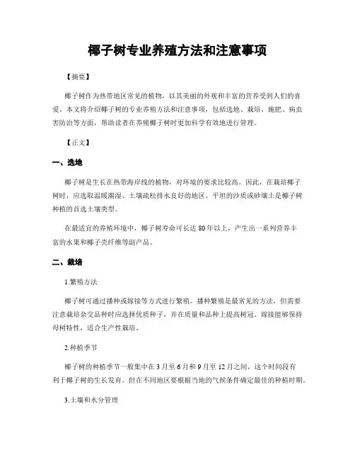 椰子树专业养殖方法和注意事项
