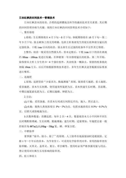 日本红枫的田间技术—管理技术