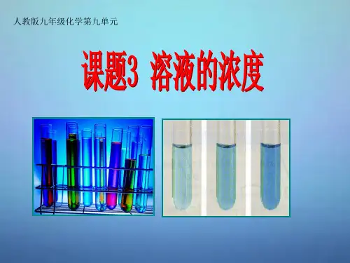 人教版九年级化学下册9.3 溶质的质量分数( 共13张PPT)