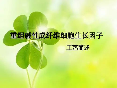重组碱性成纤维细胞生长因子制作工艺简述