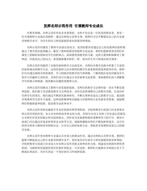 发挥名师示范作用 引领教师专业成长