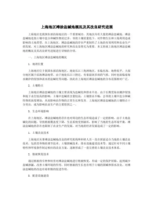 上海地区滩涂盐碱地概况及其改良研究进展