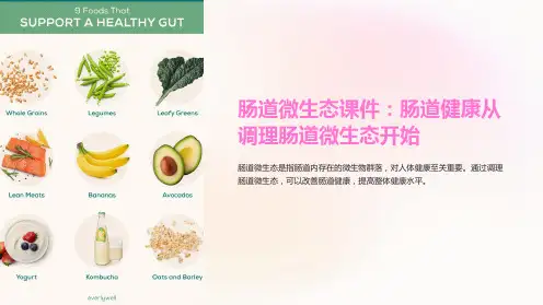 肠道微生态课件：肠道健康从调理肠道微生态开始