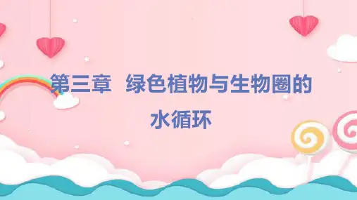 人教版七年级生物上册课件第三单元第三章绿色植物与生物圈的水循环