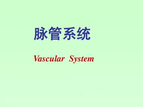脉管学总论、心脏、动脉