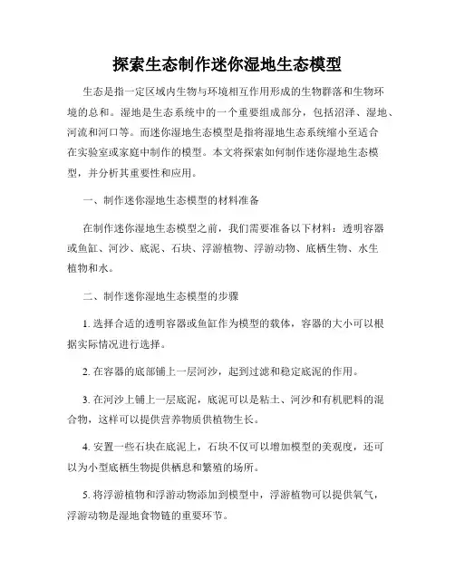 探索生态制作迷你湿地生态模型