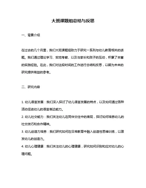 大班课题组总结与反思