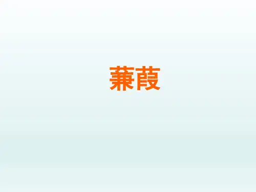 人教版初中九年级语文PPT课件-蒹葭